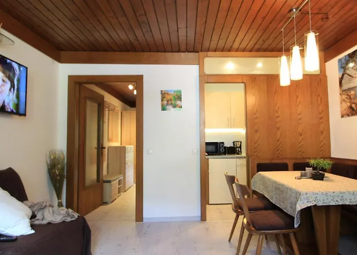 Maglov Апартаменти Бад-Кляйнкірхгайм